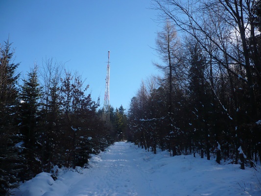 P1020361