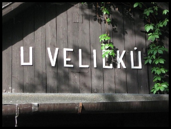 fkuzfuz.jpg