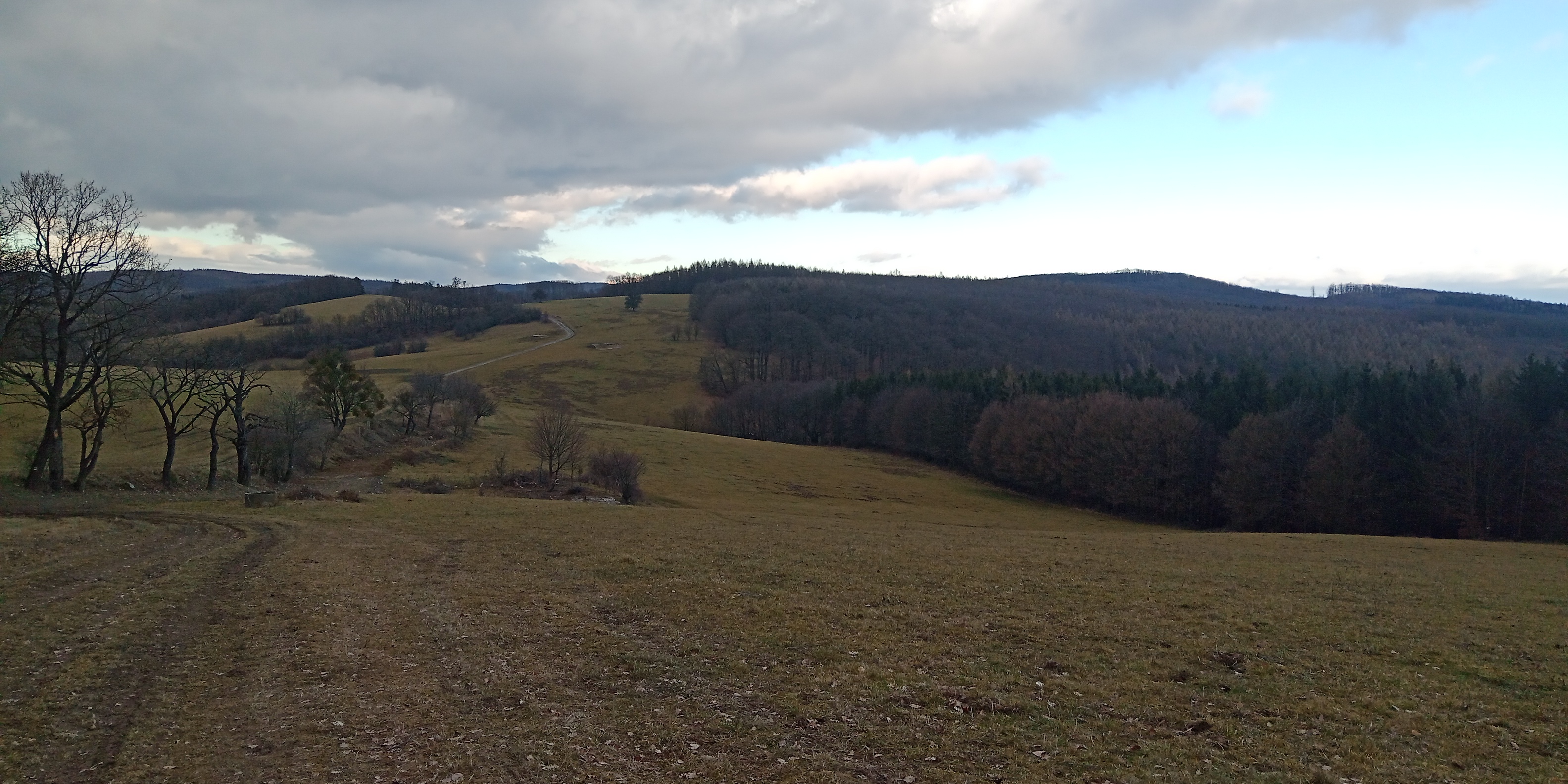 IMG_20250131_144052_108