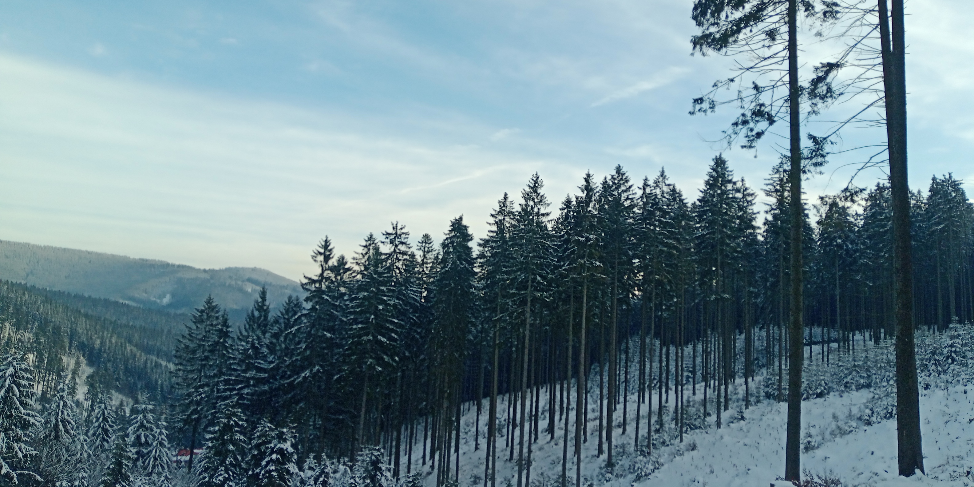 IMG_20260220_160632_322