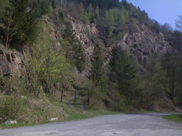 122.JPG