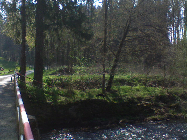 124.JPG