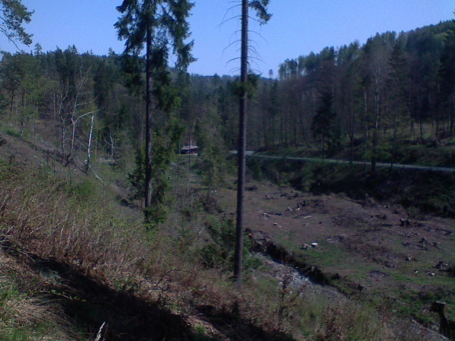 134.JPG