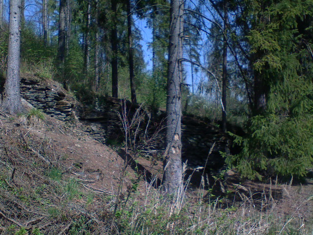135.JPG