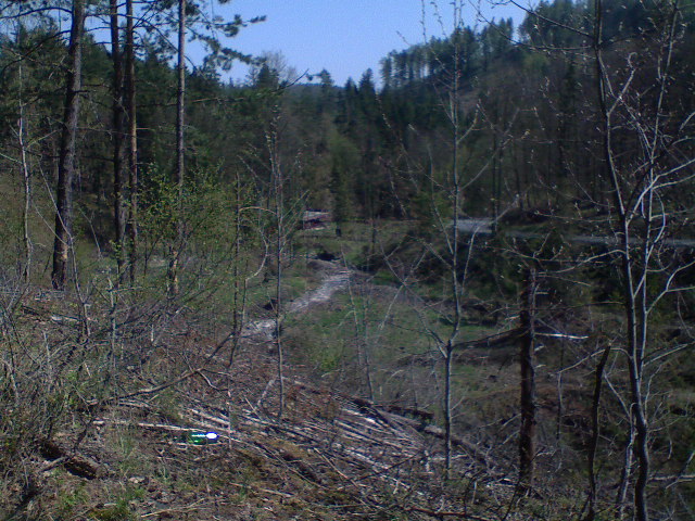 136.JPG