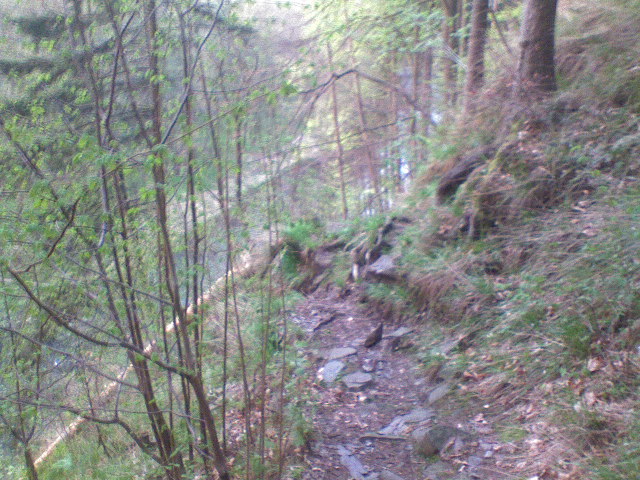 143.JPG