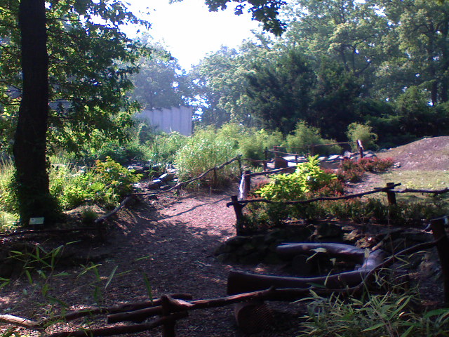 010.JPG