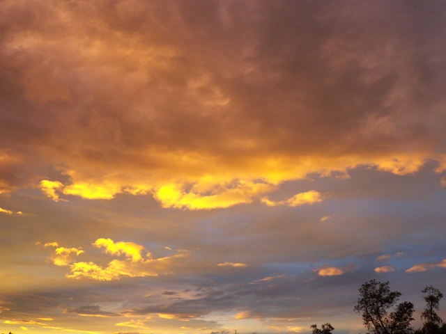 100_0333.JPG