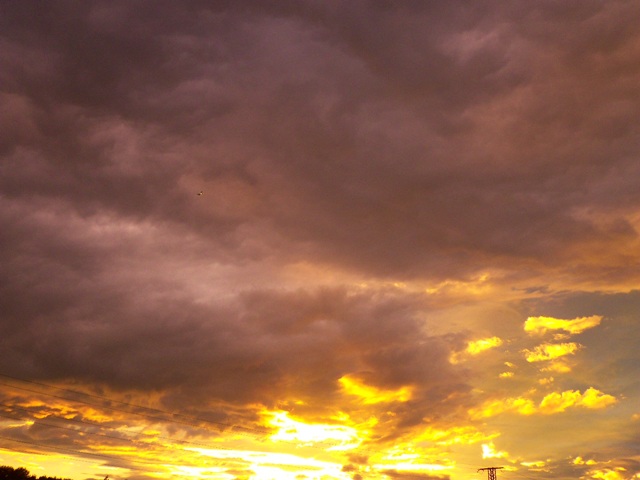 100_0336.JPG