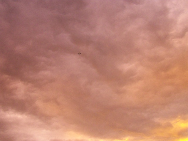 100_0337.JPG