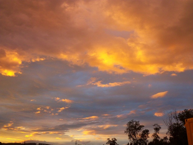 100_0338.JPG