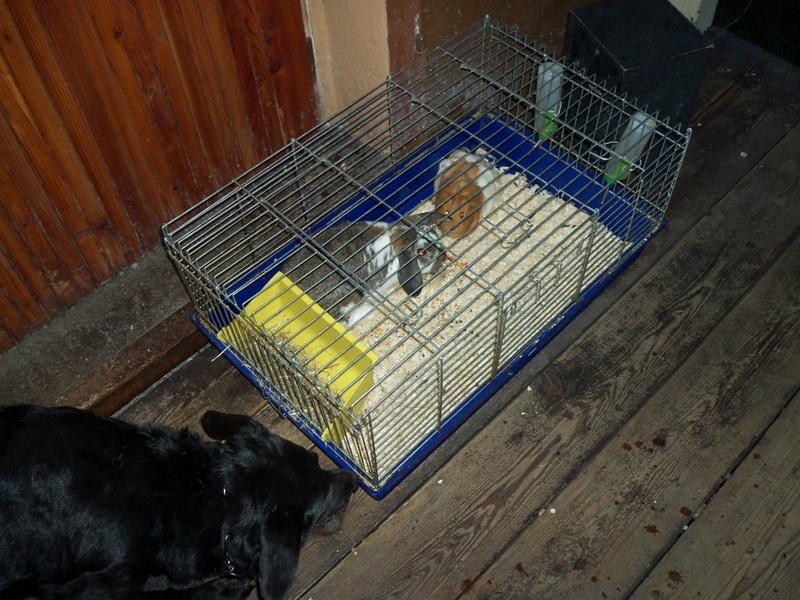 100_0416.JPG