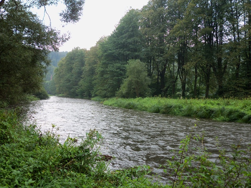 100_0436.JPG