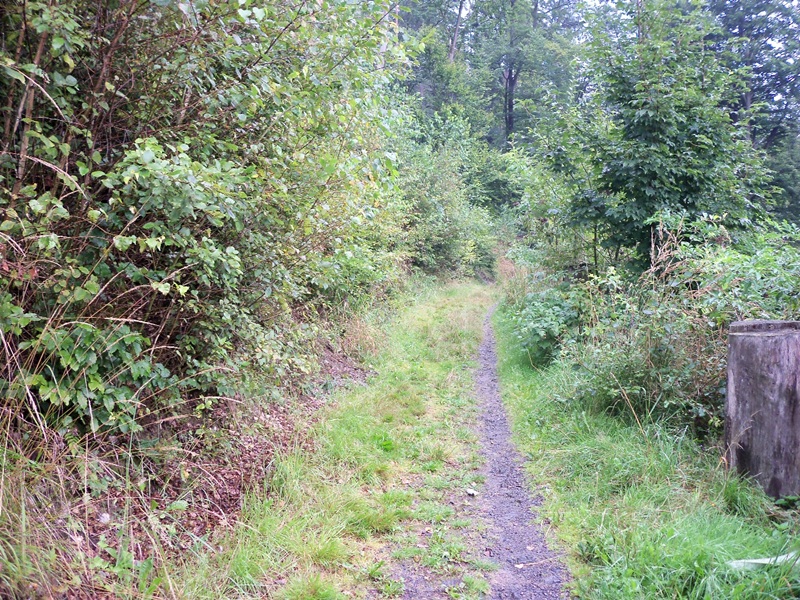 100_0432.JPG