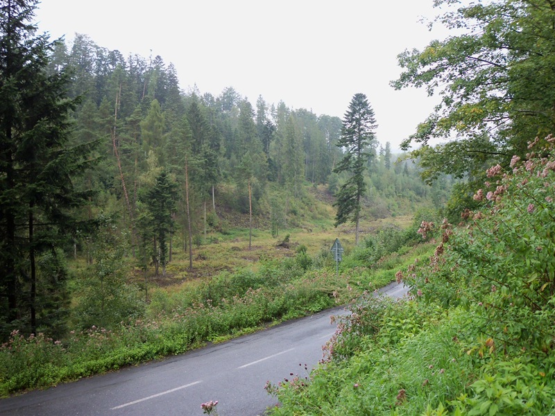 100_0452.JPG