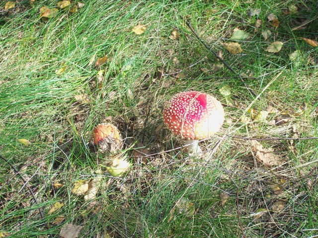 100_0543.JPG