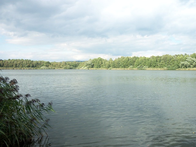 100_0546.JPG
