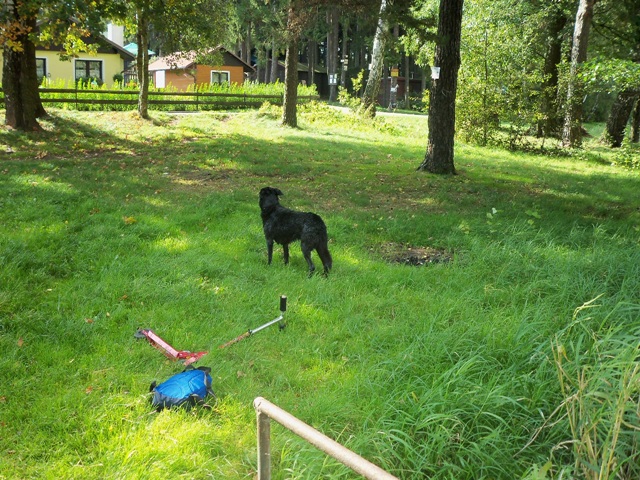 100_0548.JPG