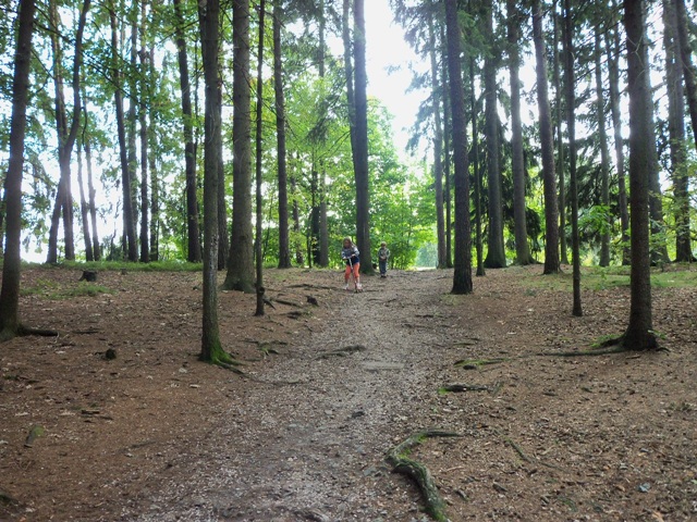 100_0581.JPG