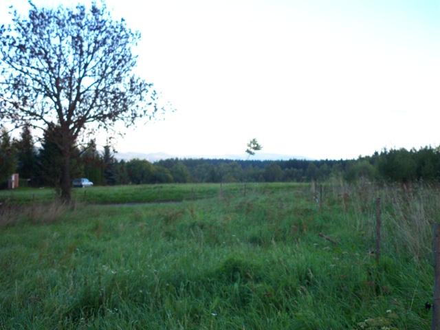 100_0518.JPG
