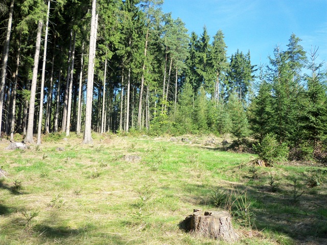 100_0608.JPG