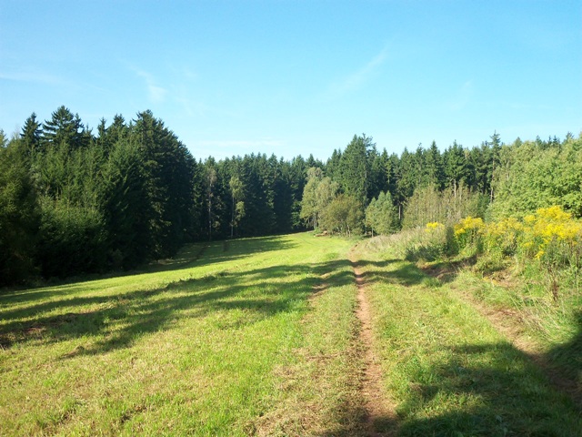 100_0609.JPG