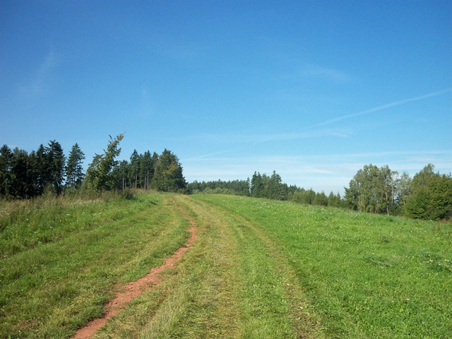 100_0611.JPG