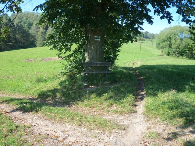 100_0614.JPG