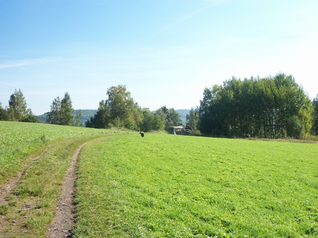 100_0615.JPG