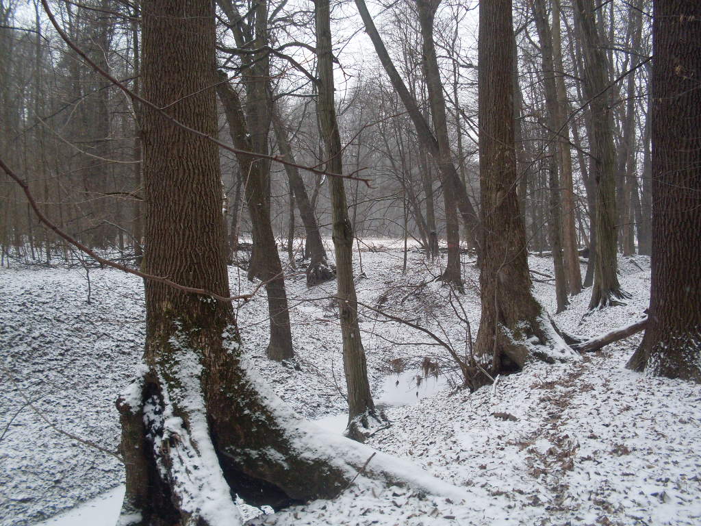 082