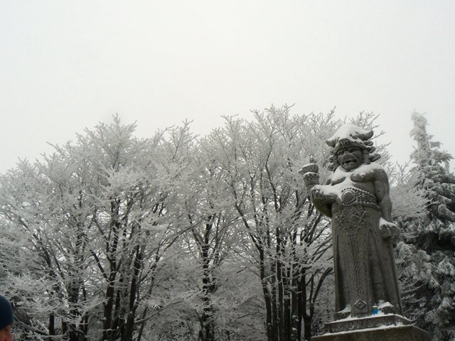 P1100993