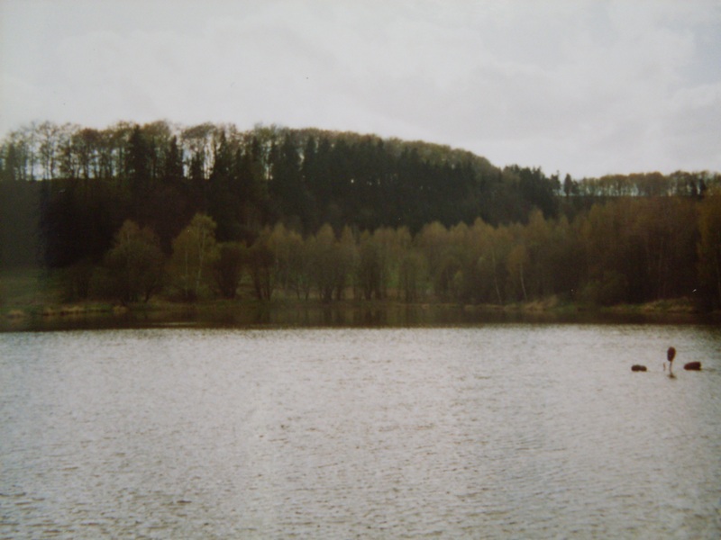 050
