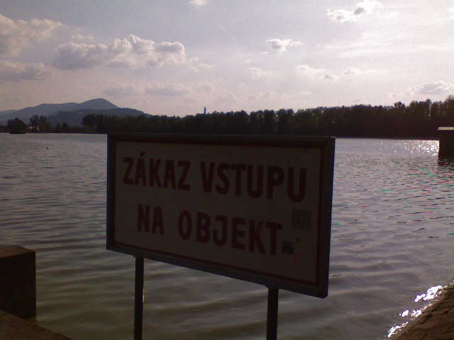 100.JPG