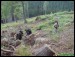 fsb.jpg